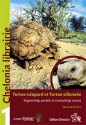 Tortue sillonnée et Tortue PArdalis