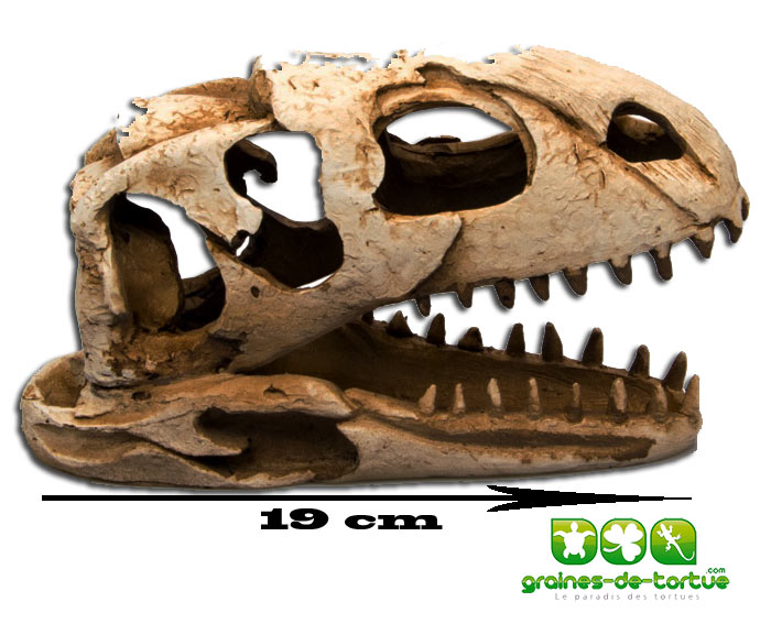 Déco Terrarium Crane dinosaure 19 cm par