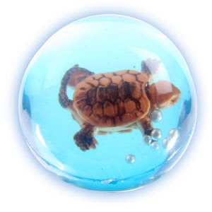 balle_tortue_2