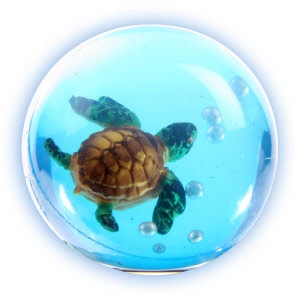 turtle ball