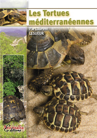 les_tortues_mediterraneennes_lesueur
