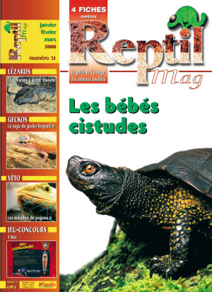 reptilmag_31