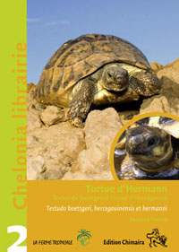 la_tortue_d_hermann_boettgeri_hercegovinensis