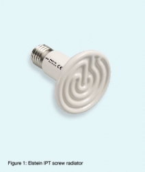 ampoule elstein