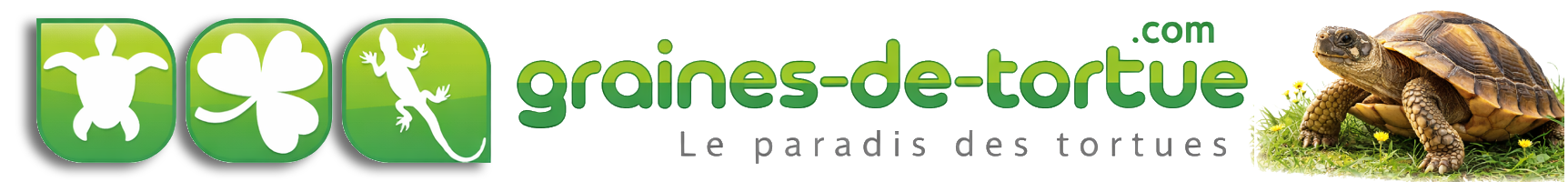 Alimentation naturelle pour tortues – graines à semer