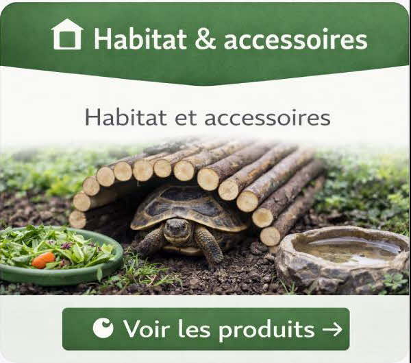 Habitat tortue