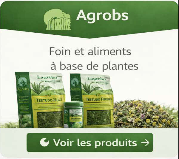 Agrobs