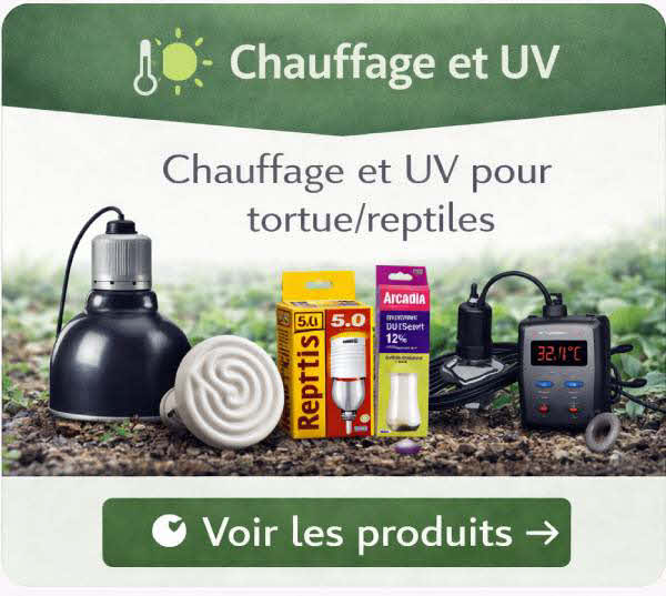 Chauffage UV