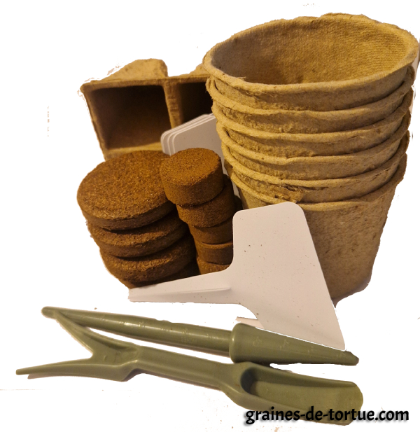 Kit de culture tortue – serre, graines & pastilles de coco | Graines de ...