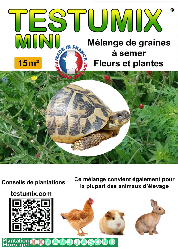 testumix mini seed mixture