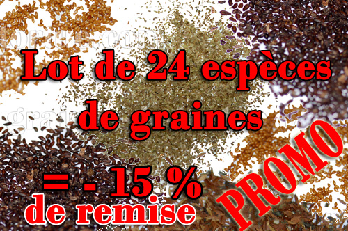 lot_de_graines