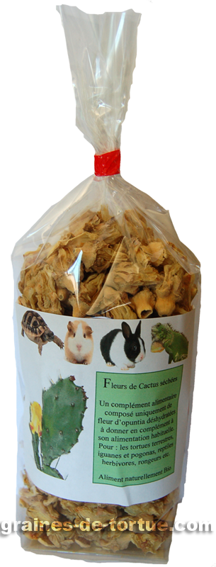 dry opuntia by 100 gr