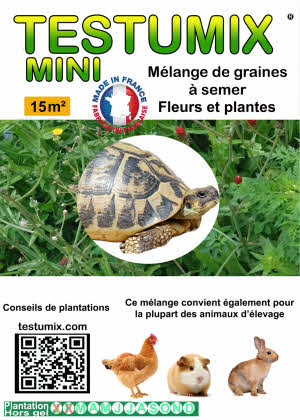 testumix mini seed mixture